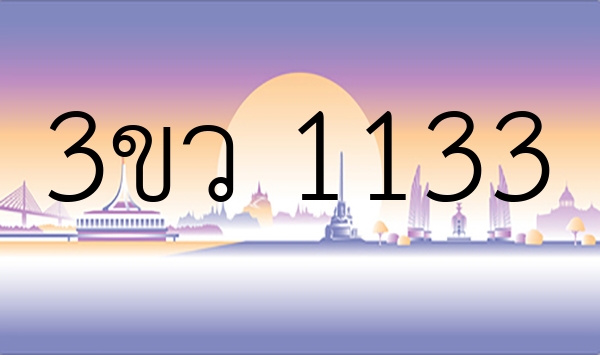 3ขว 1133